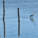 radenkovic.com-2016-08-0268
