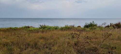 20250813_070603_19909C83.jpg